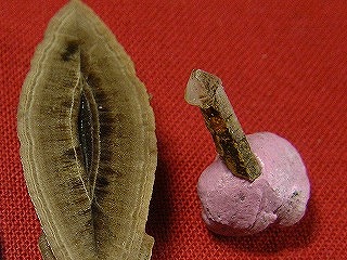 鉱物写真